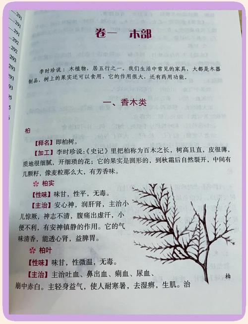 神棍小村医在线阅读 | 免费全文小说最新章节