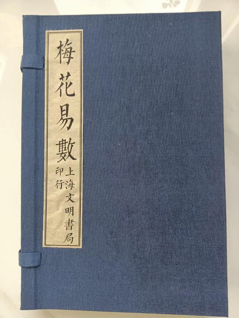 与神对话在线阅读：探索灵魂觉醒的智慧