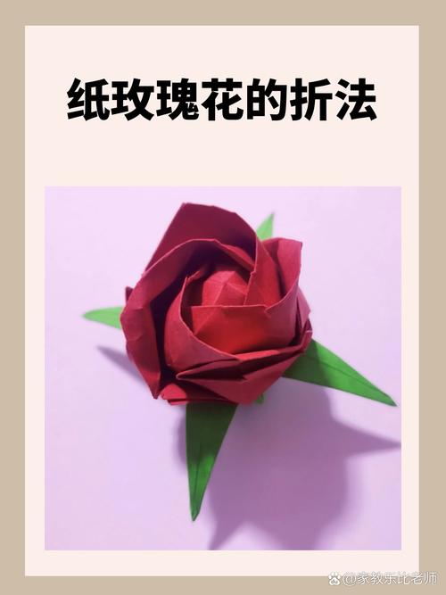 重生追美记全文阅读 - 重生追美记最新章节在线看