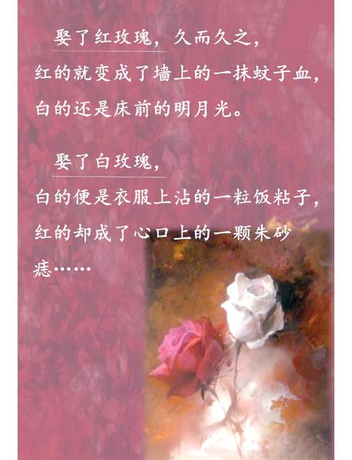 恋爱辅助器全文在线阅读 - 热门恋爱小说推荐