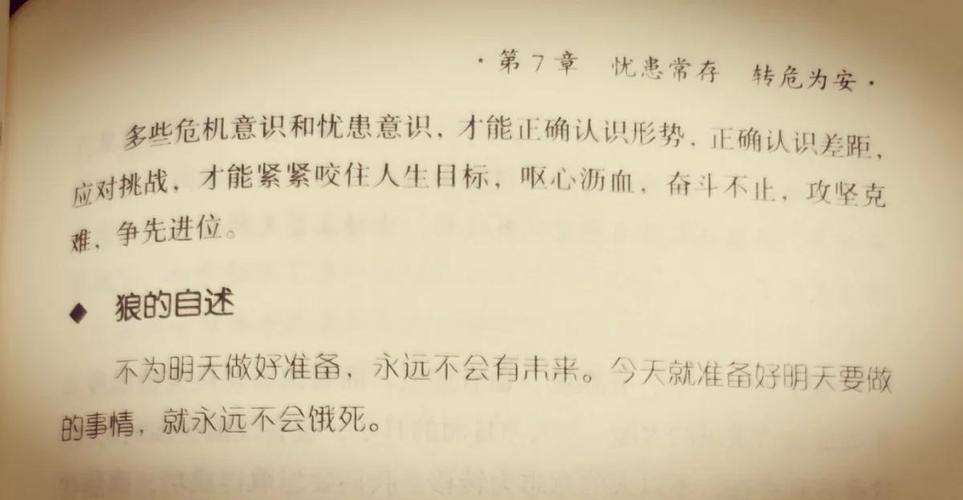 狼道在线阅读 | 狼性法则与团队生存智慧经典