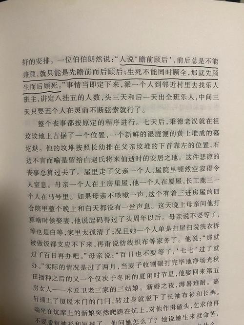 少年阿宾全文在线阅读 | 经典小说无删减版