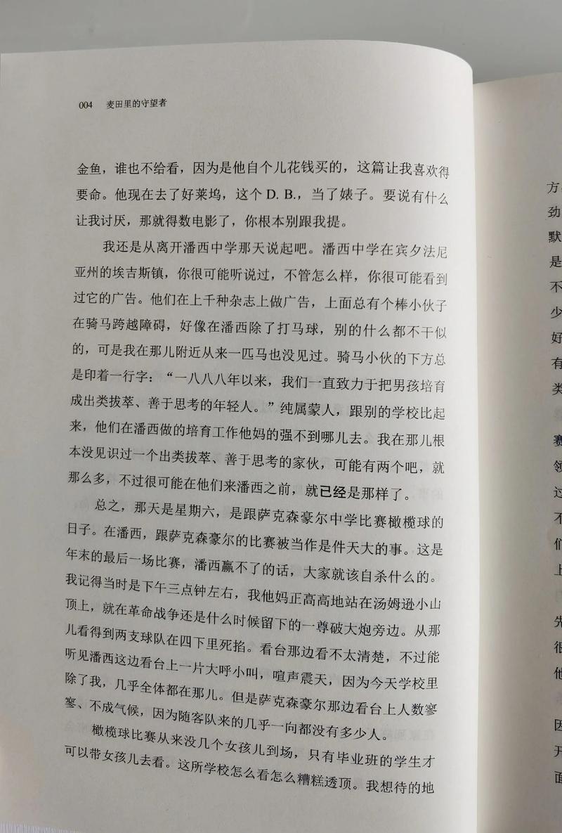 陈若雪小说全文在线阅读 | 热门言情作品完整版