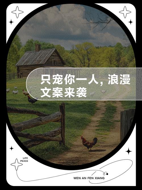红楼梦白话文在线阅读的相关介绍
