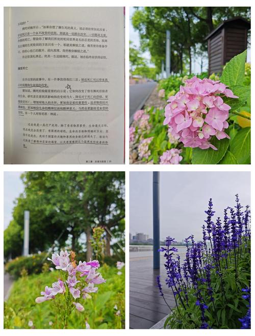 绝世武魂在线阅读 | 巅峰武学热血重生
