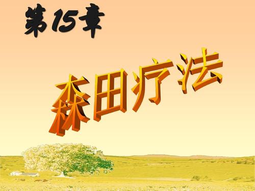 少阿兵宾小说全文在线阅读，精彩章节免费看