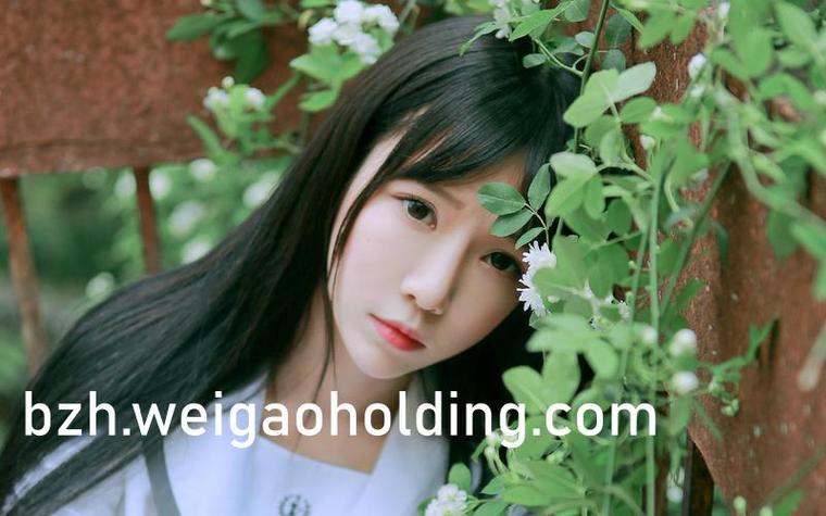 《请叫我总监》全文在线阅读 | 职场励志小说