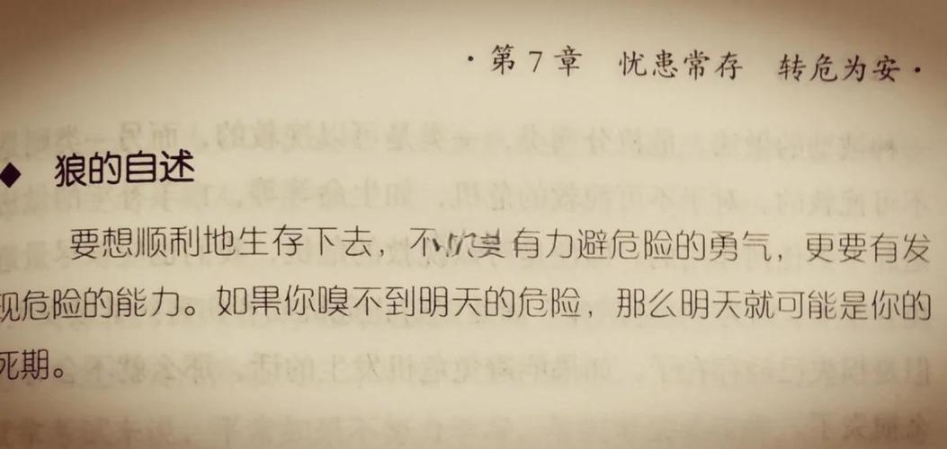 狼道在线阅读 | 狼性法则与团队生存智慧经典