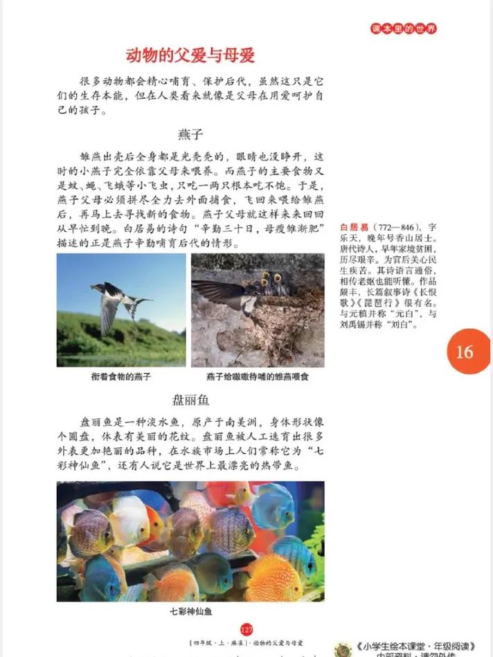 小雪婷的性欢日记全文在线阅读