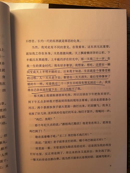黄金时代在线免费阅读 | 王小波经典小说全文