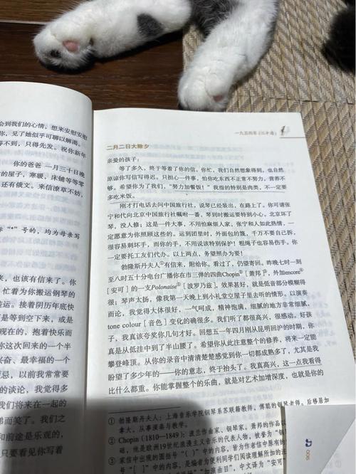 白洁无删全文在线阅读 | 完整版小说免费看