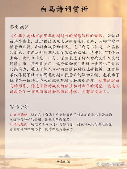 亦舒《喜宝》全文在线阅读，经典爱情小说免费看