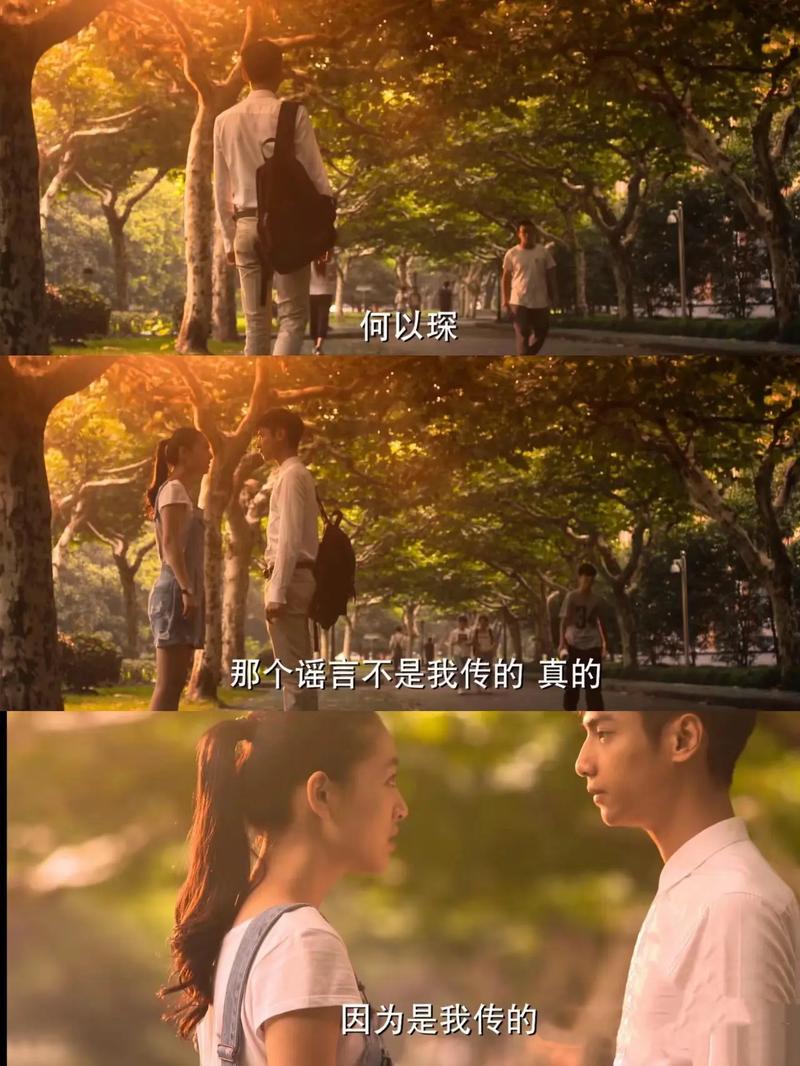 郑爽《郑爽的书》全文在线阅读 | 独家完整版