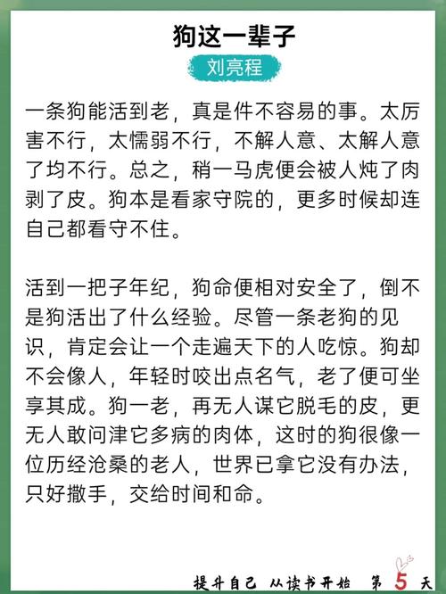 掌中之物全文在线阅读 | 热门小说免费阅读