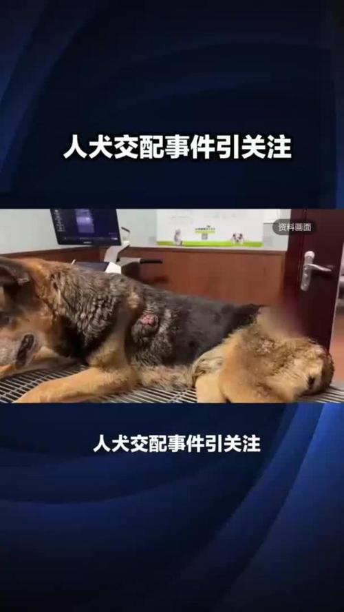 丹道宗师全文阅读 | 在线免费看最新章节