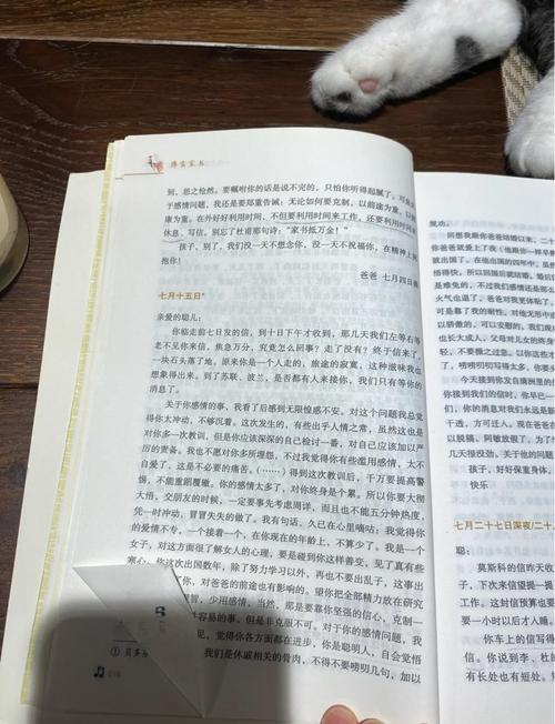 阮白慕少凌全文免费在线阅读 | 豪门虐恋小说